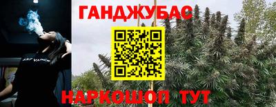 ешки Шелехов