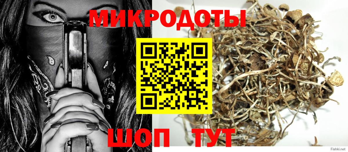 Псилоцибиновые грибы Psilocybe Чайковский