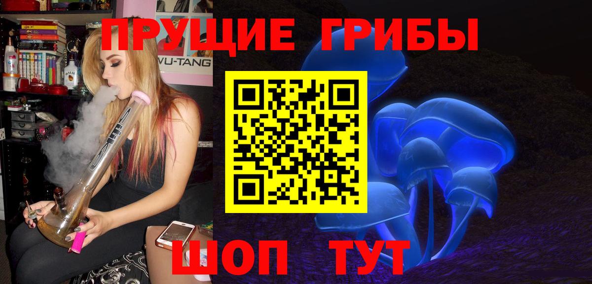 Галлюциногенные грибы MAGIC MUSHROOMS  Вход с VPN  Чайковский 